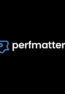 Perfmatters Satın Al